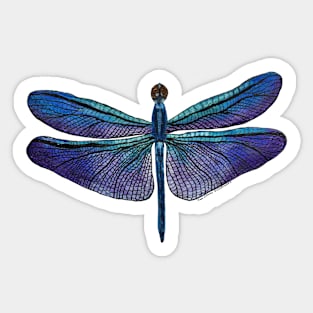 Blue-purple Dragonfly Sticker